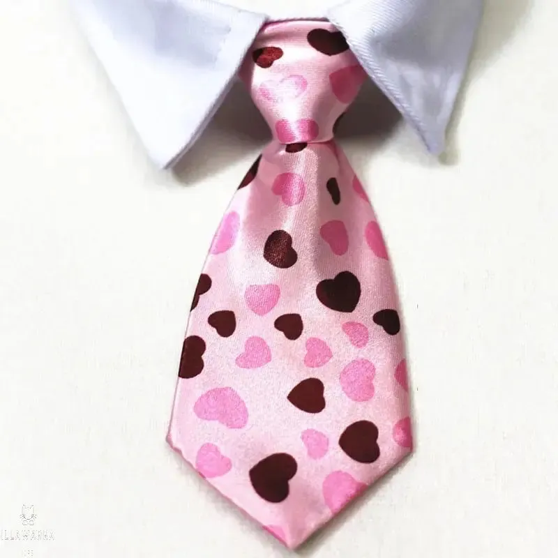 Cat Shirt Collar and Tie- Size Small