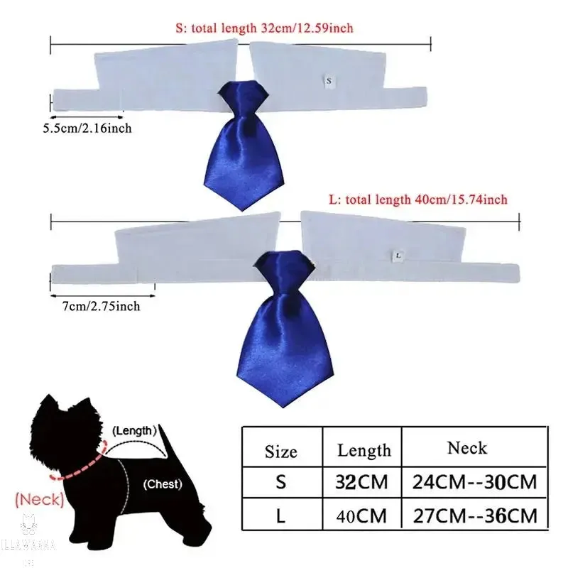 Cat Shirt Collar and Tie- Size Small