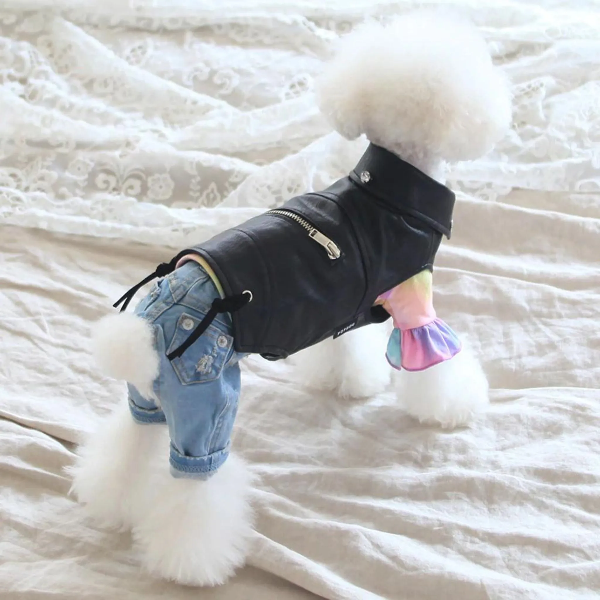 PREORDERS ARE NOW CLOSED!  Popdog Black Zipup Biker Jacket - PREORDER ITEM