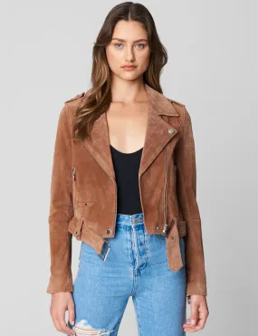 Suede Moto Jacket, Coffee Bean